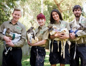 Zoo keepers at Featherdale Wildlife Park